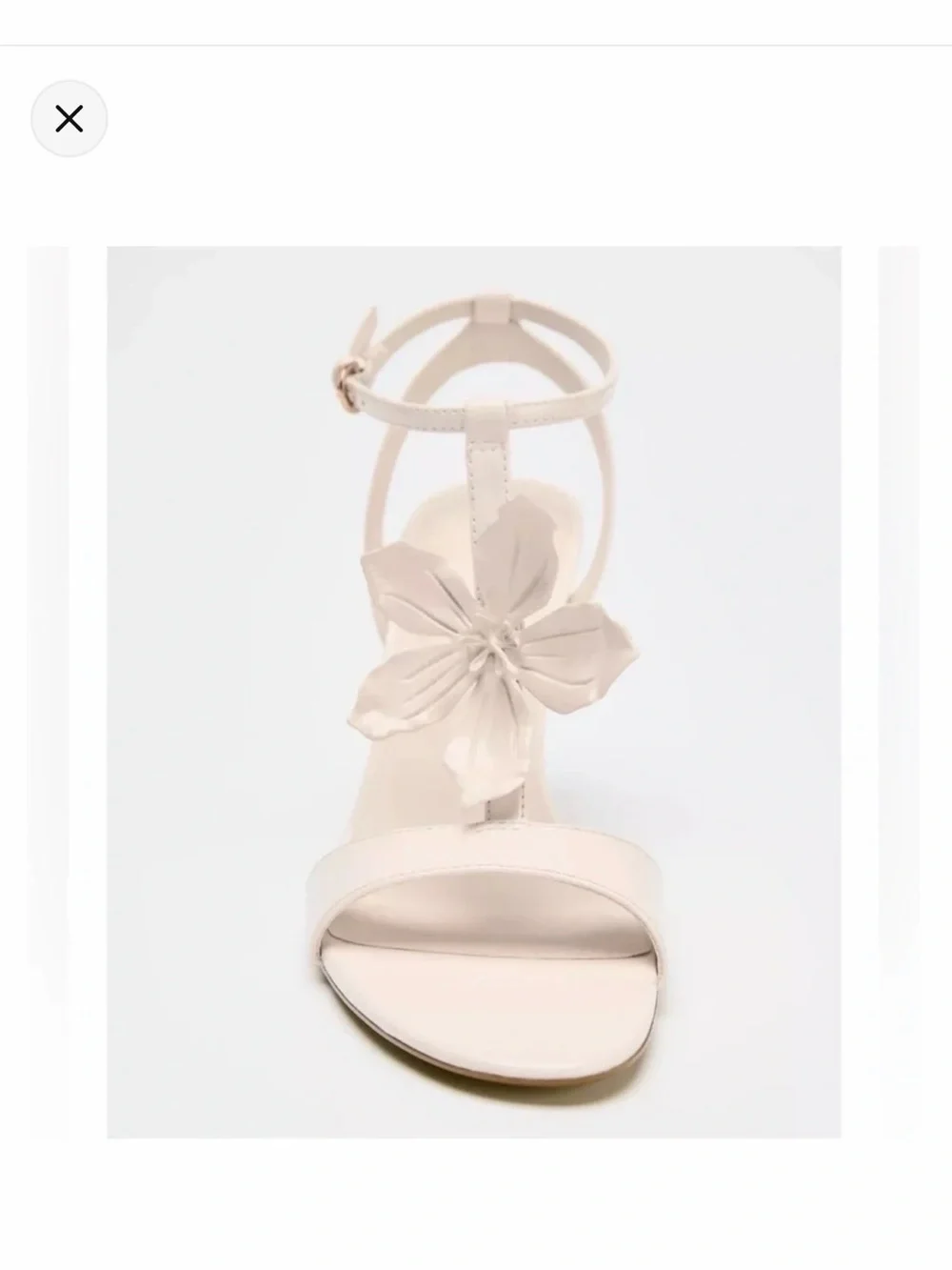 Zara Cream T-Strap Sandal with Floral Accent - Picture 1 of 3